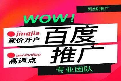 百度竞价托管公司案例：揭秘高效广告投放策略